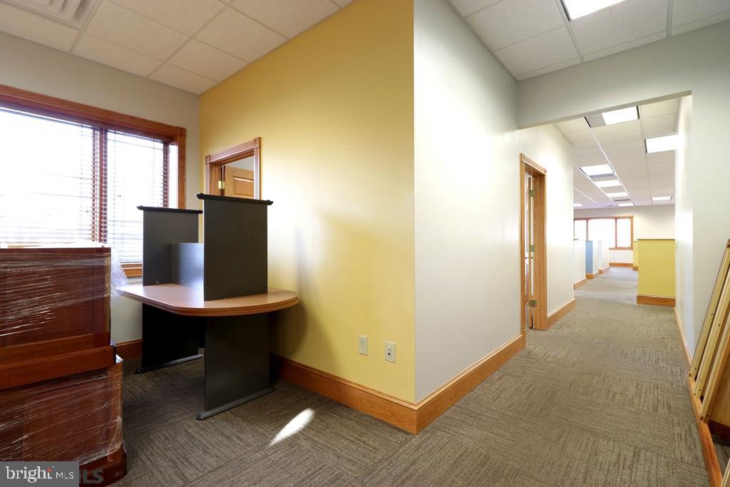 NONE AVAILABLE - Commercial Sale