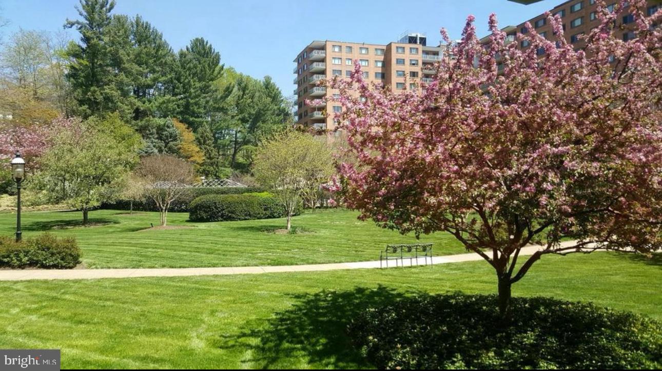 4201 CATHEDRAL AVENUE NW 1113E