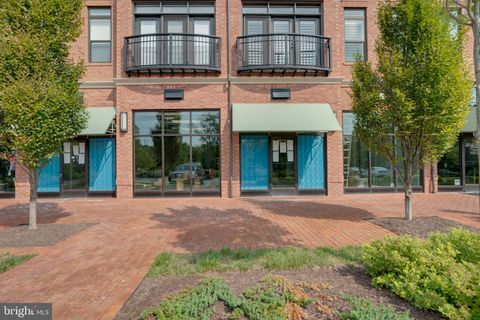 412 MADISON TRADE PLAZA SE LEESBURG VA 20175