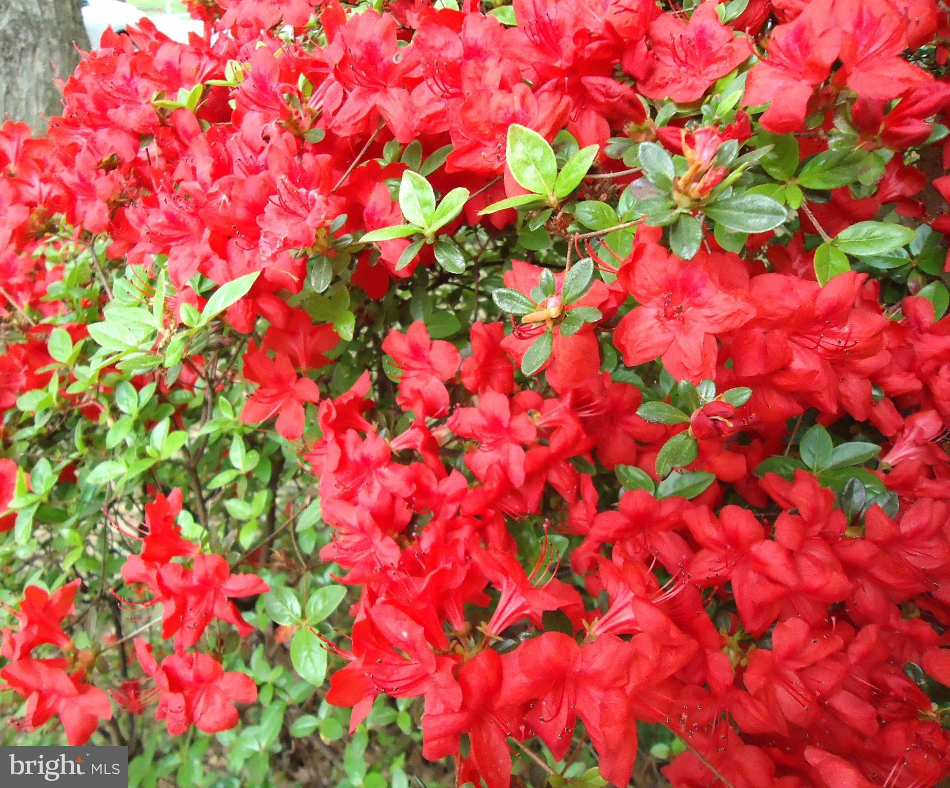 SEWELLS ORCHARD - Residential