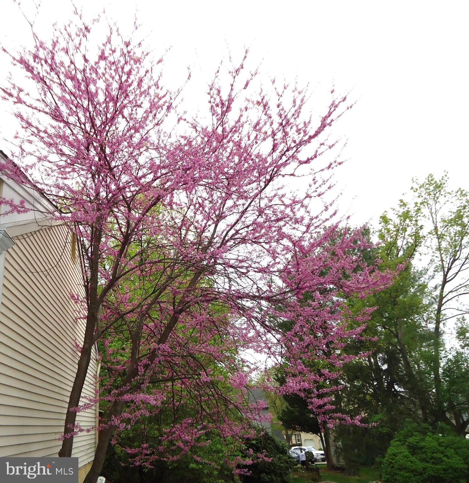 SEWELLS ORCHARD - Residential