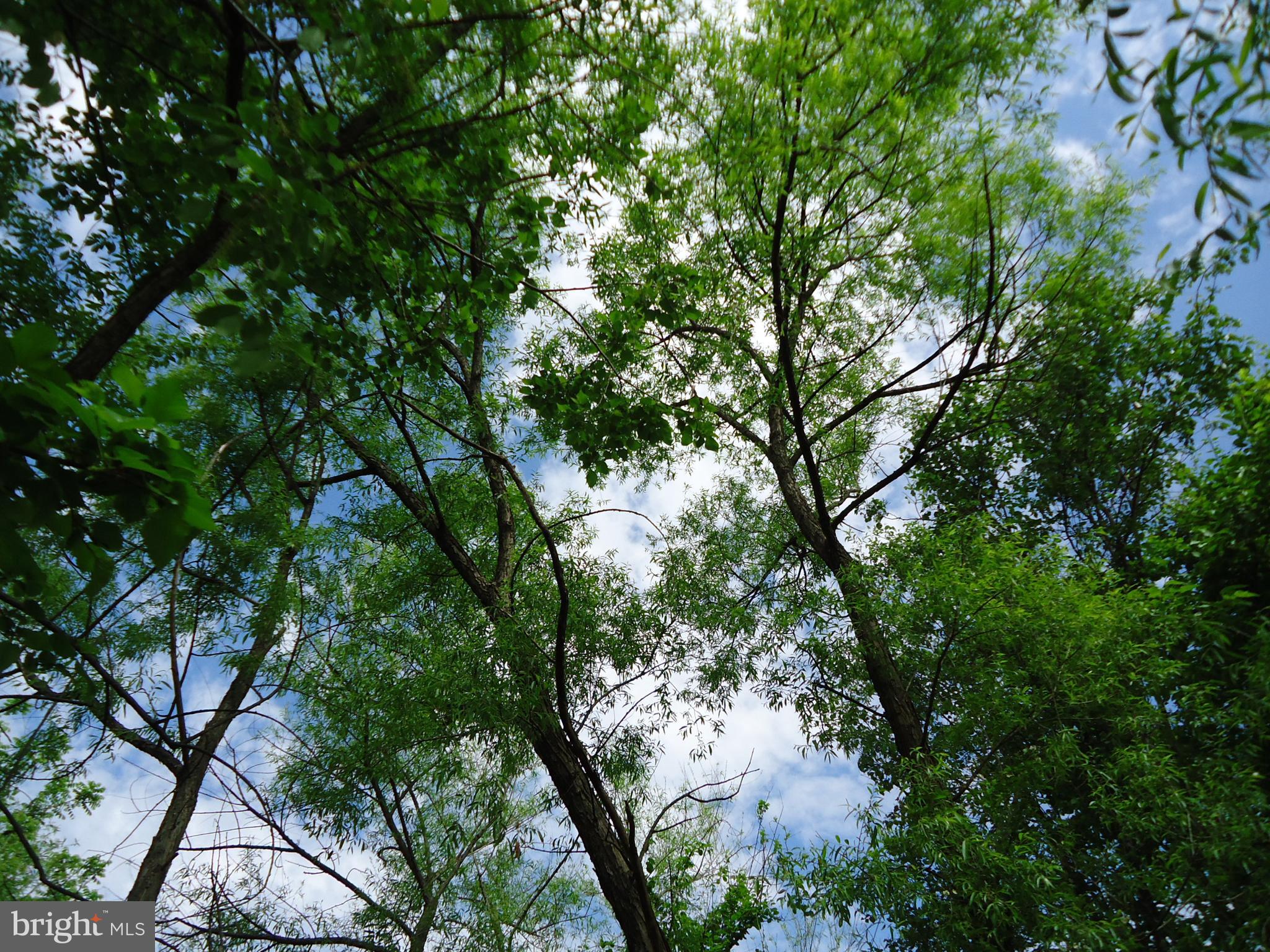 SEWELLS ORCHARD - Residential