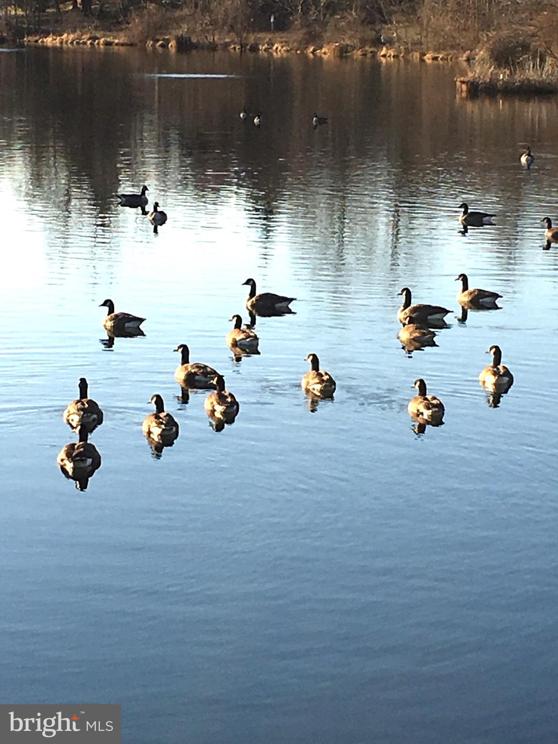 SEWELLS ORCHARD - Residential