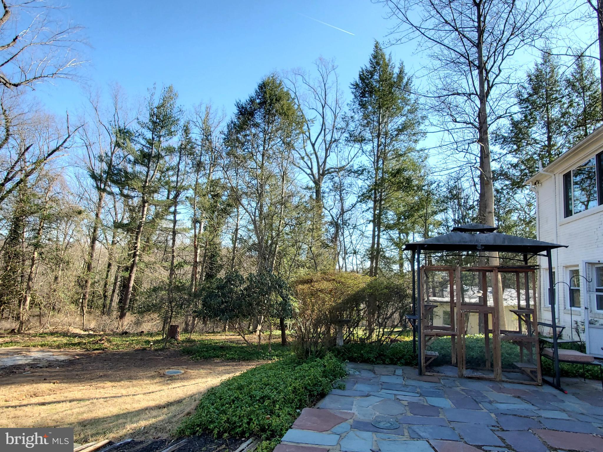 CONGRESSIONAL FOREST - Residential Lease