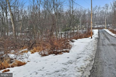Vacant Land For Sale - Crescent Street<br/> TREMONT, PA 17981