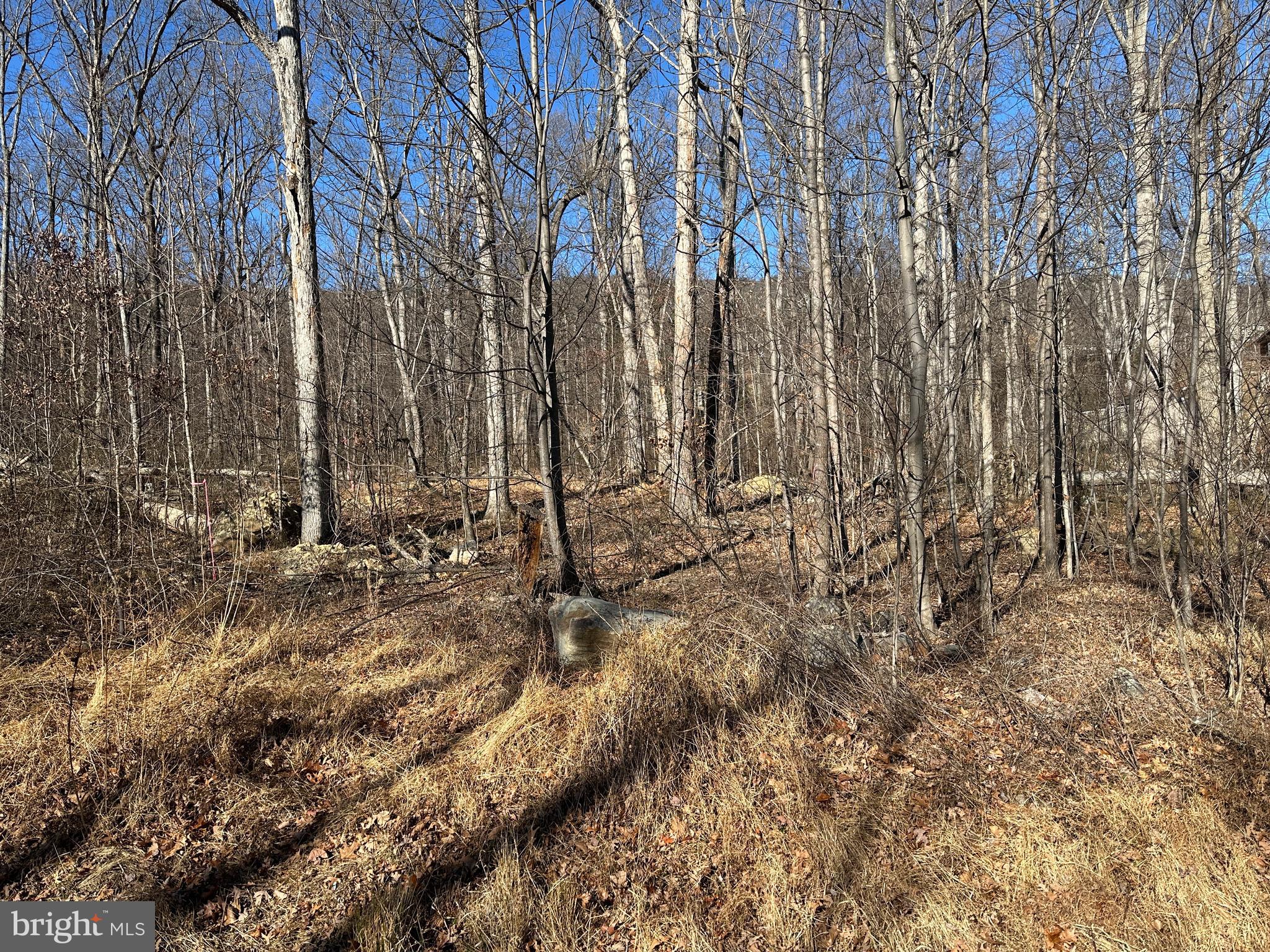 SHAWNEELAND - Residential