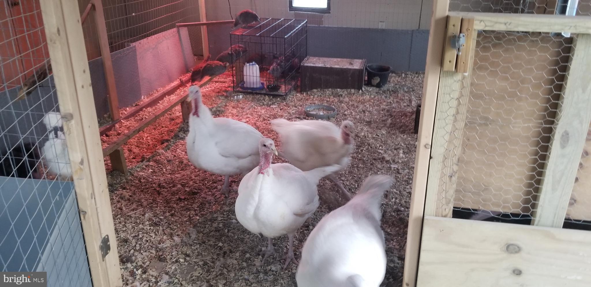 KABLETOWN DISTRICT - Farm