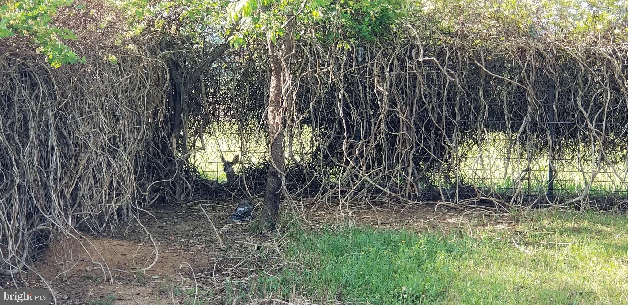 KABLETOWN DISTRICT - Farm