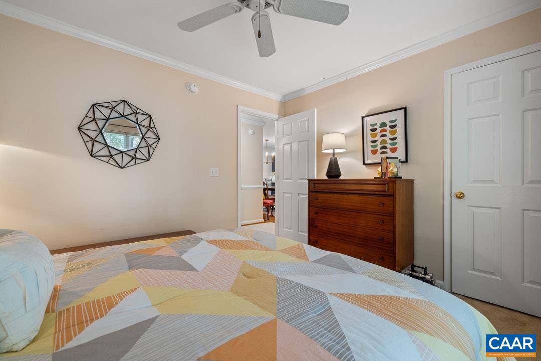 LAKE MONTICELLO - Residential