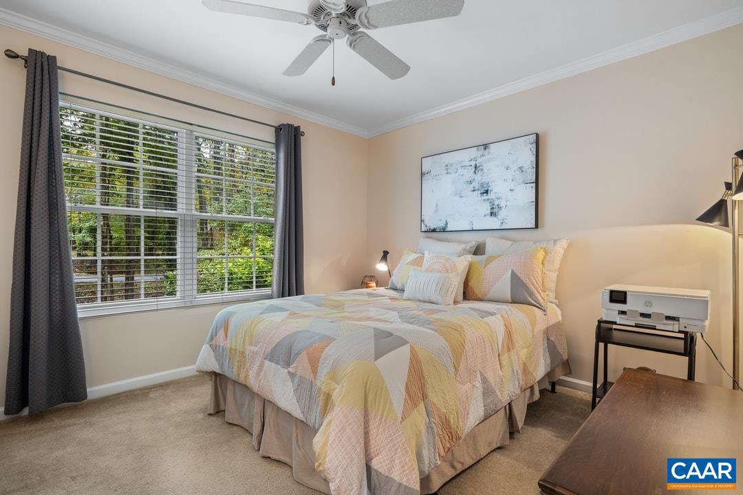 LAKE MONTICELLO - Residential