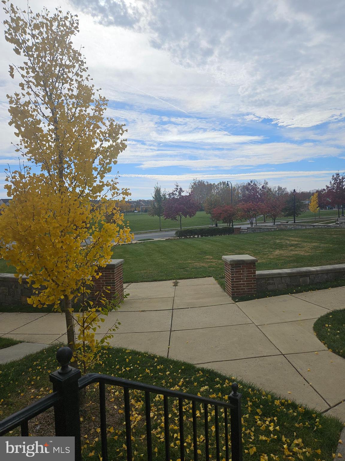 22308 SWEET PEPPERBUSH ALLEY