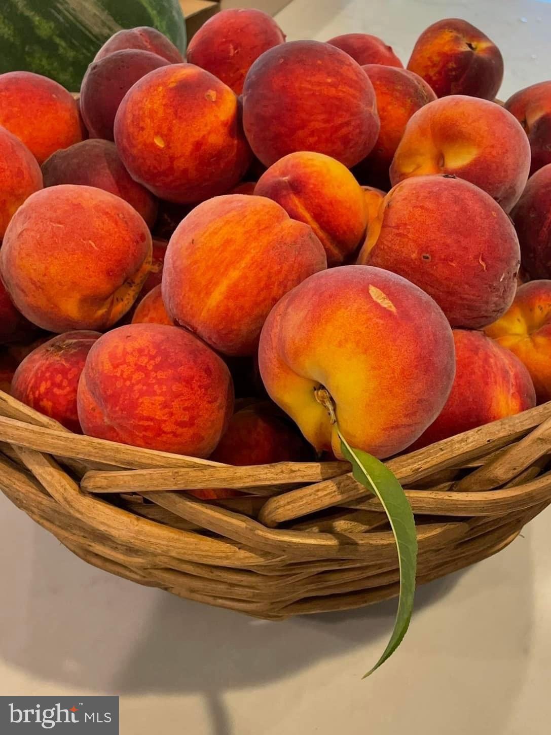 JAMES FARM ESTATES - Residential