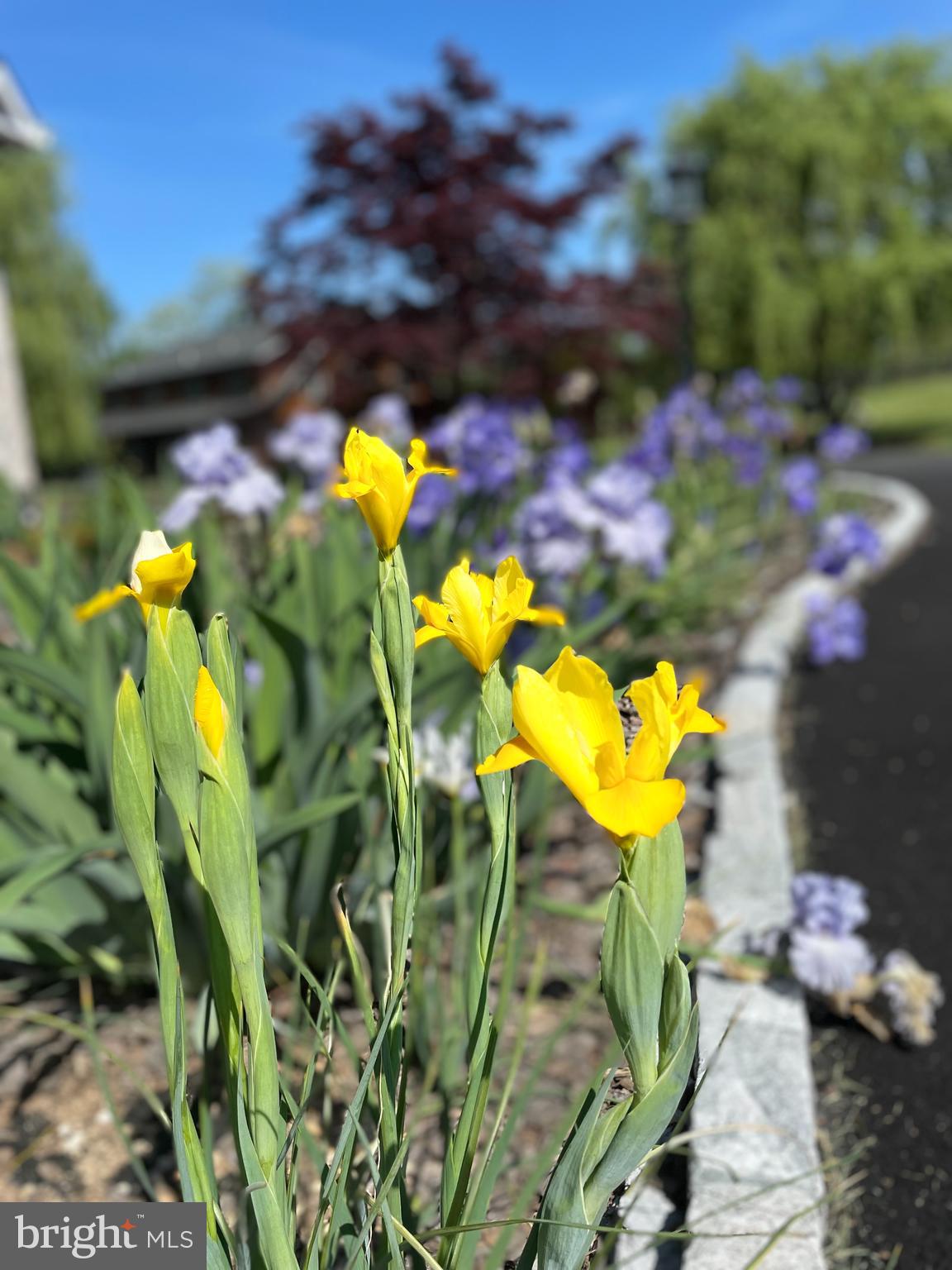 JAMES FARM ESTATES - Residential