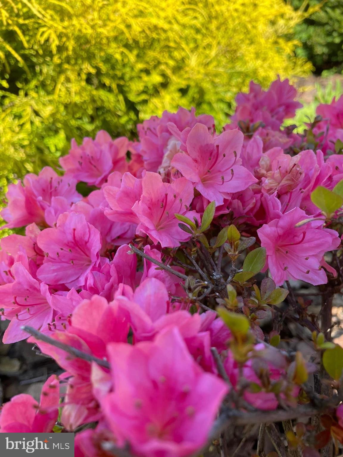 JAMES FARM ESTATES - Residential