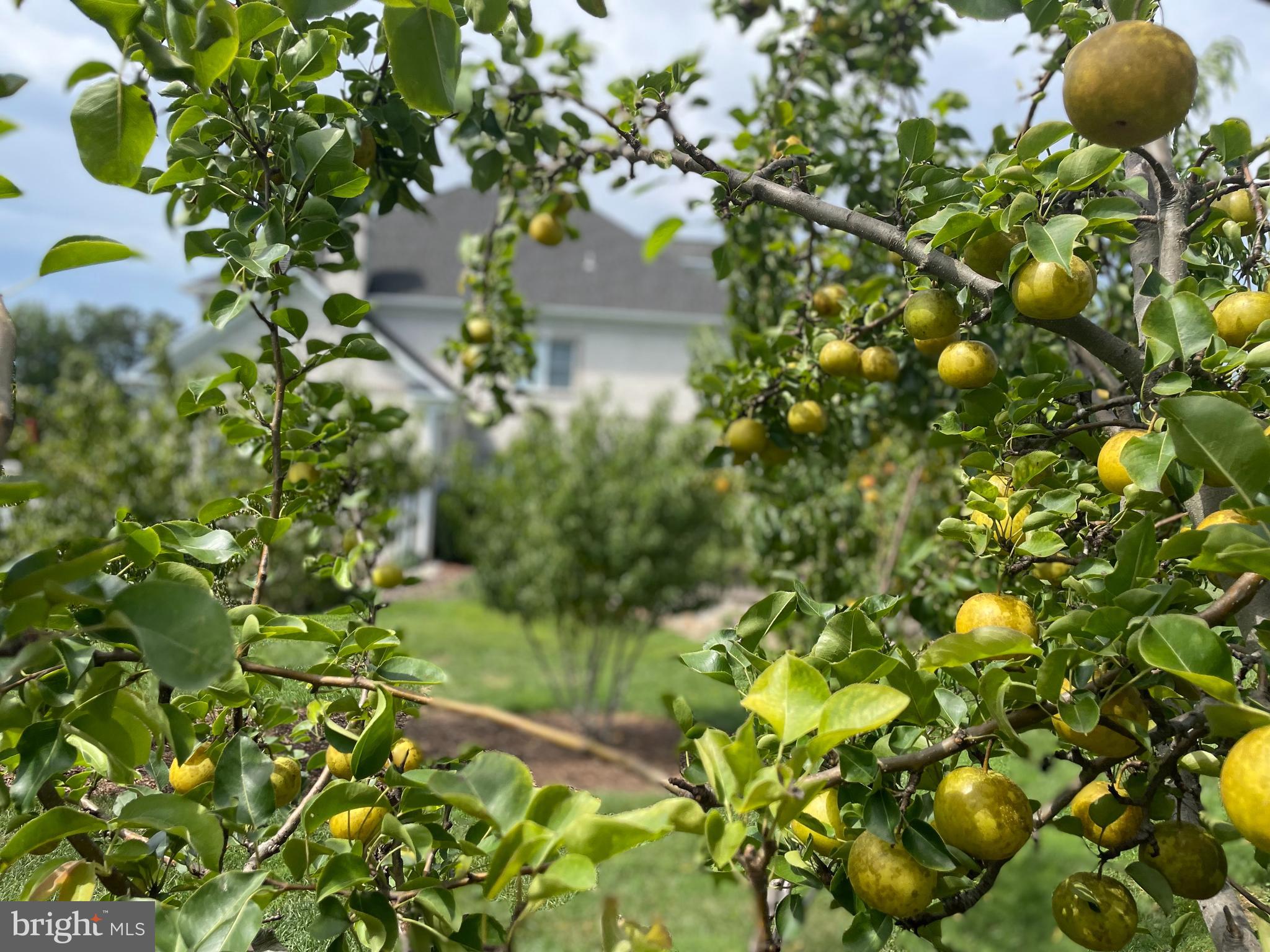 JAMES FARM ESTATES - Residential