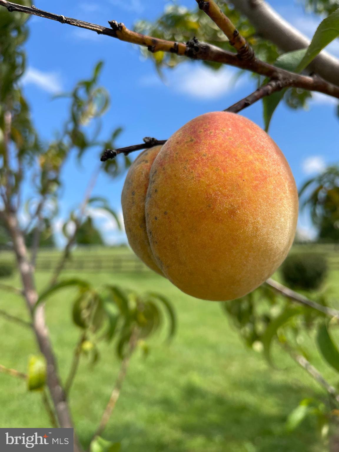 JAMES FARM ESTATES - Residential