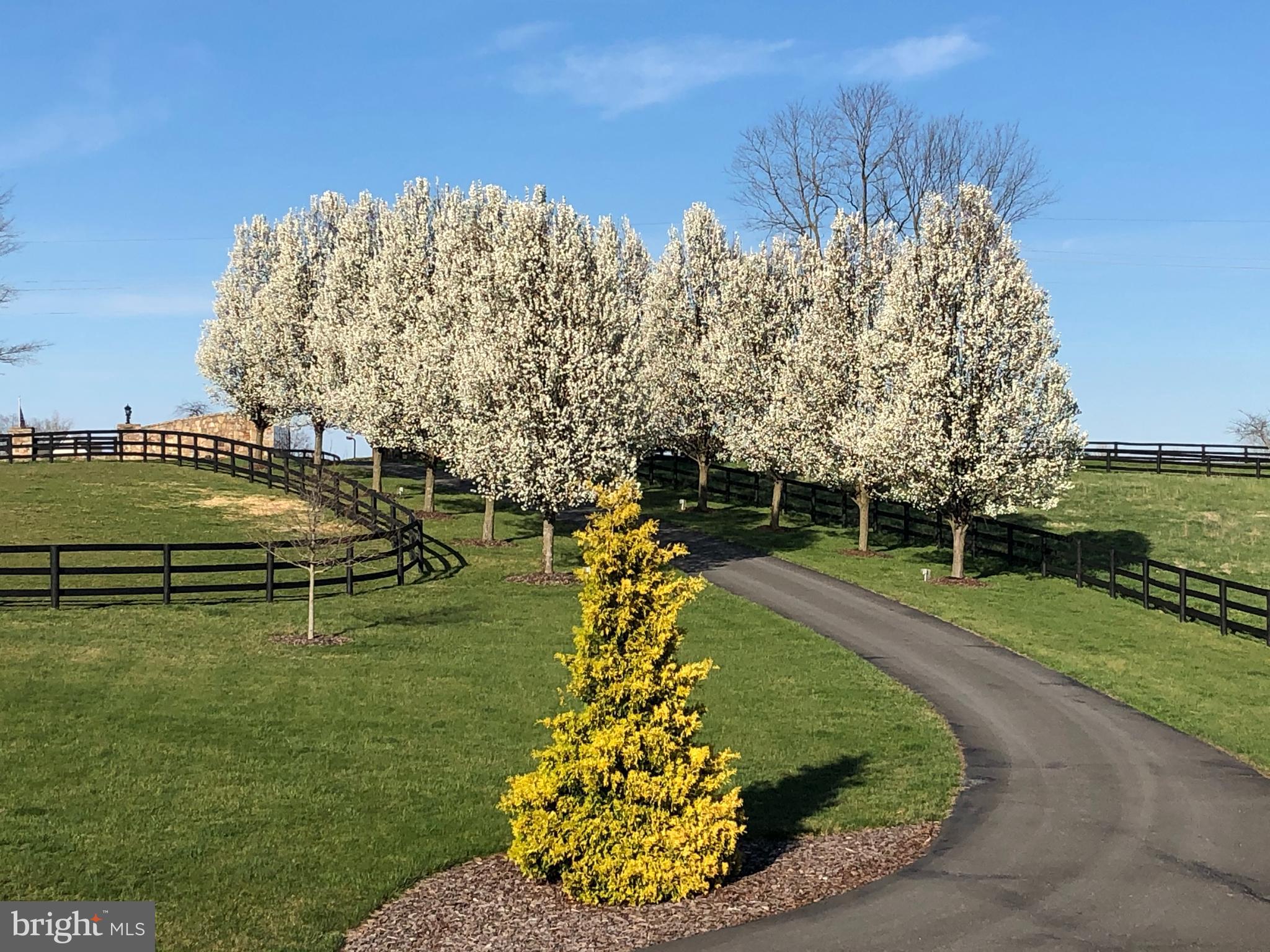 JAMES FARM ESTATES - Residential