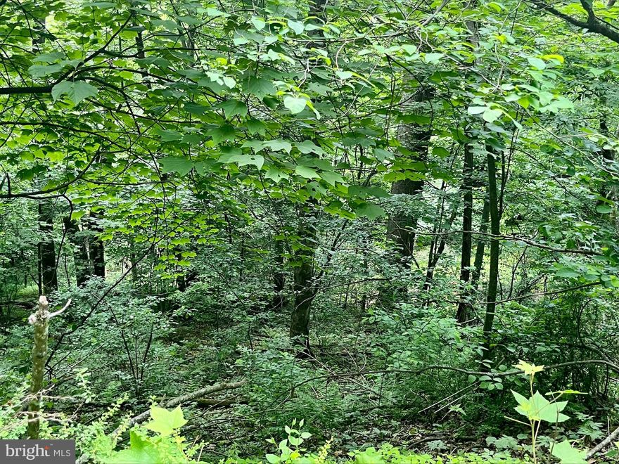 Wooded Lot in Land of Luray Subdivision! 3 Bedroom certification letter on file regarding perc! 
Owner financing offered! 10% down 6% interest 2-3 year term!