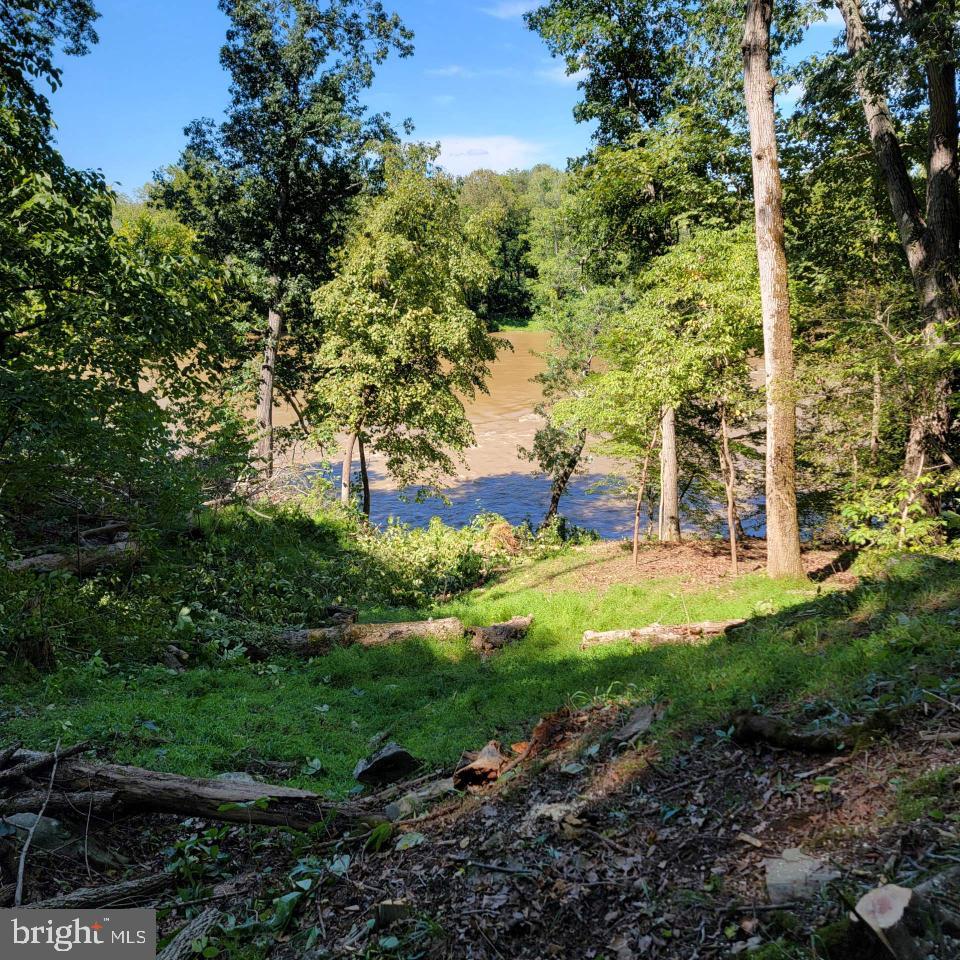 CALMES NECK ESTATES - Land