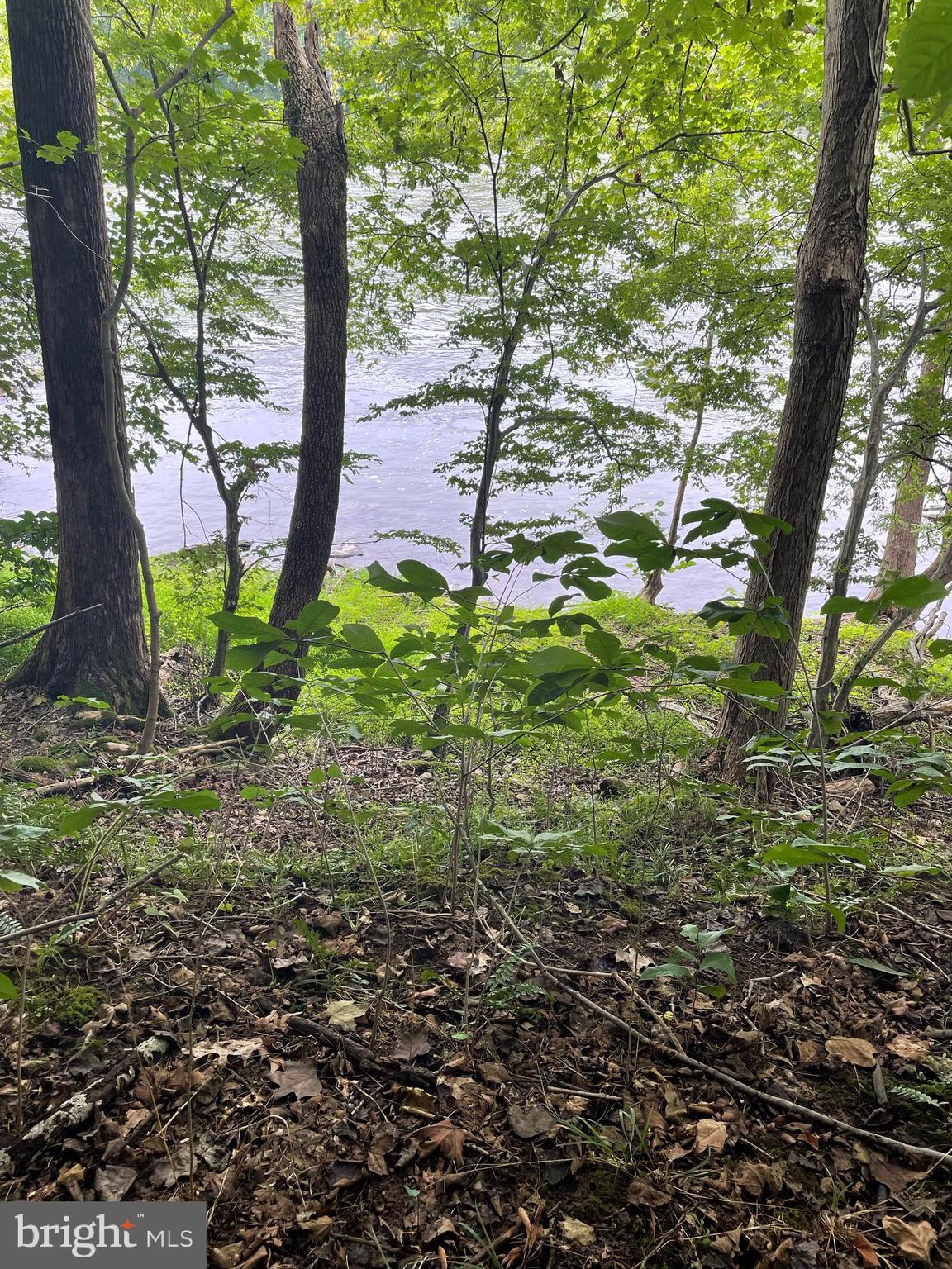 CALMES NECK ESTATES - Land