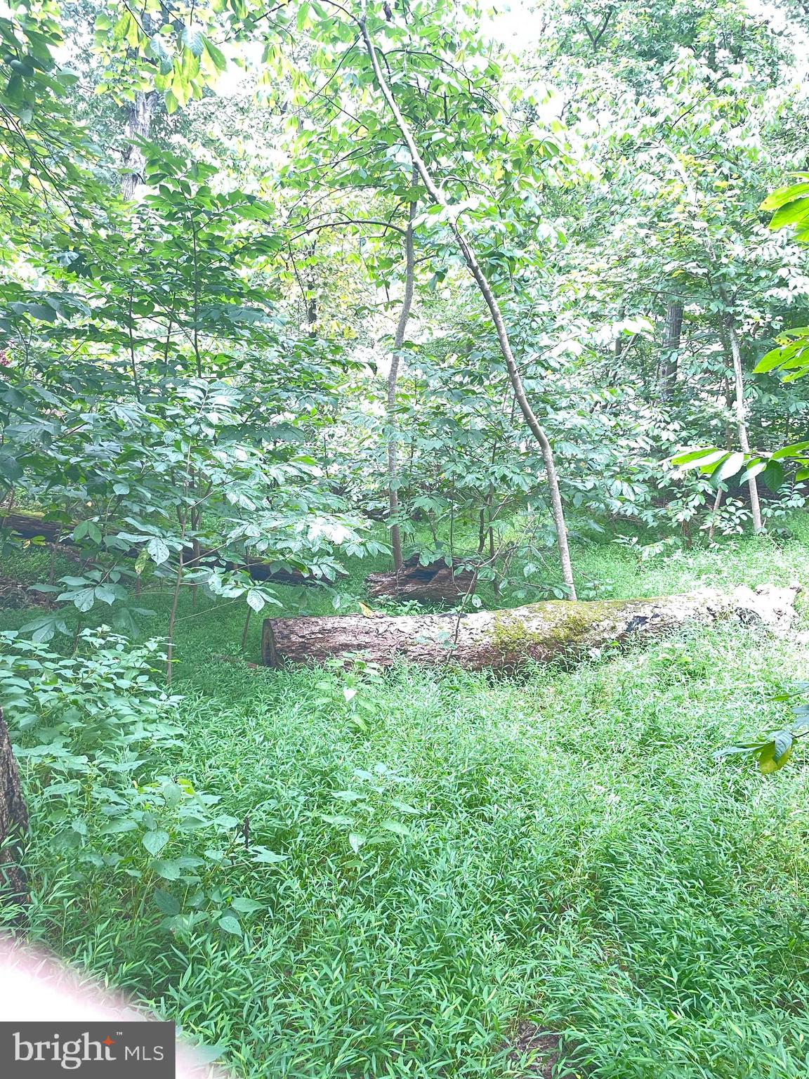 CALMES NECK ESTATES - Land