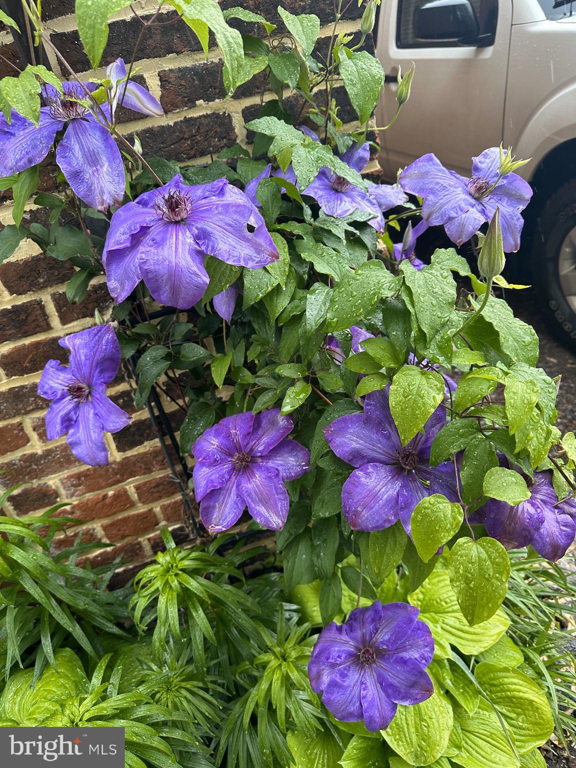 MARIETTA BOROUGH - Residential