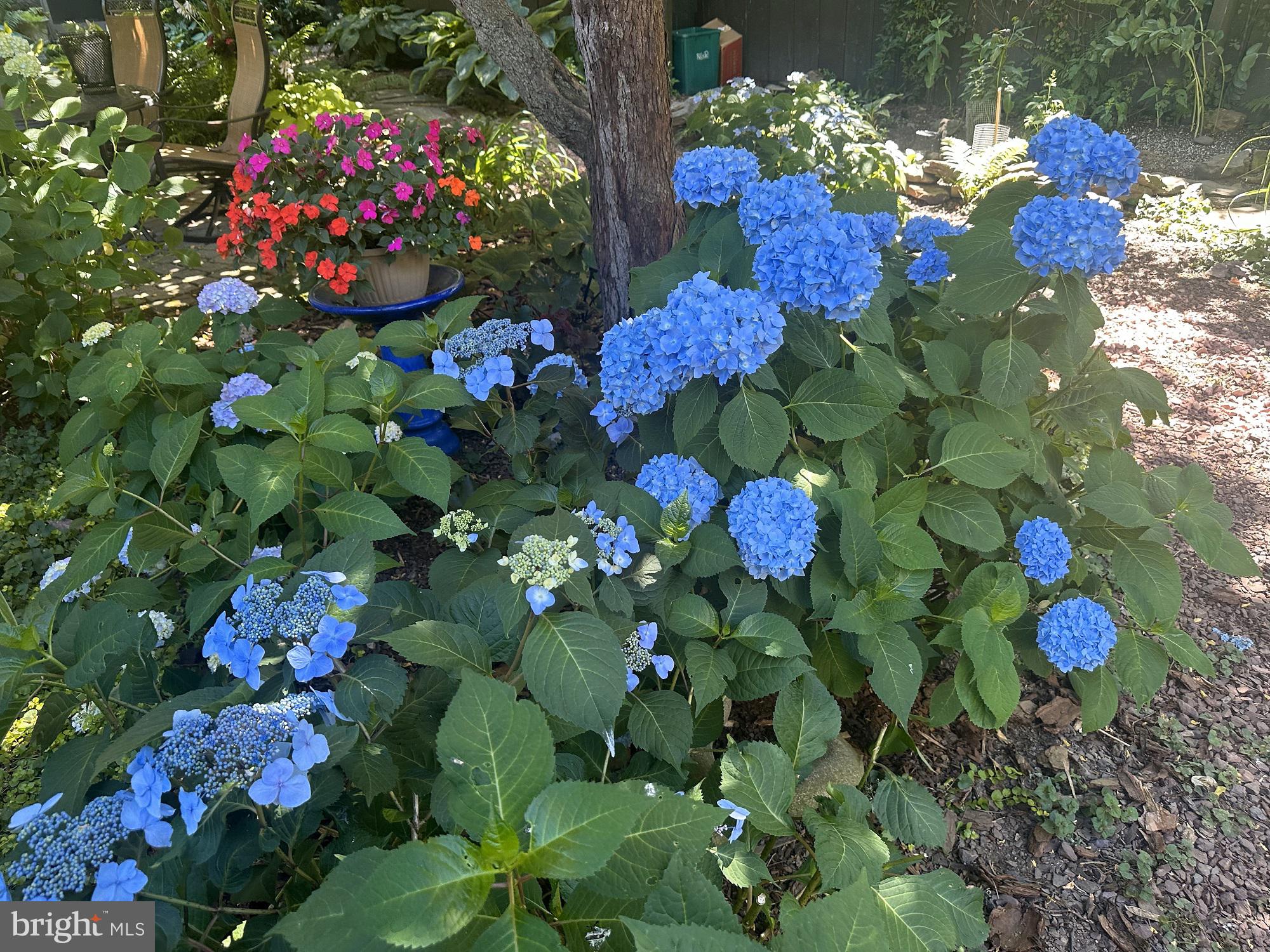 MARIETTA BOROUGH - Residential