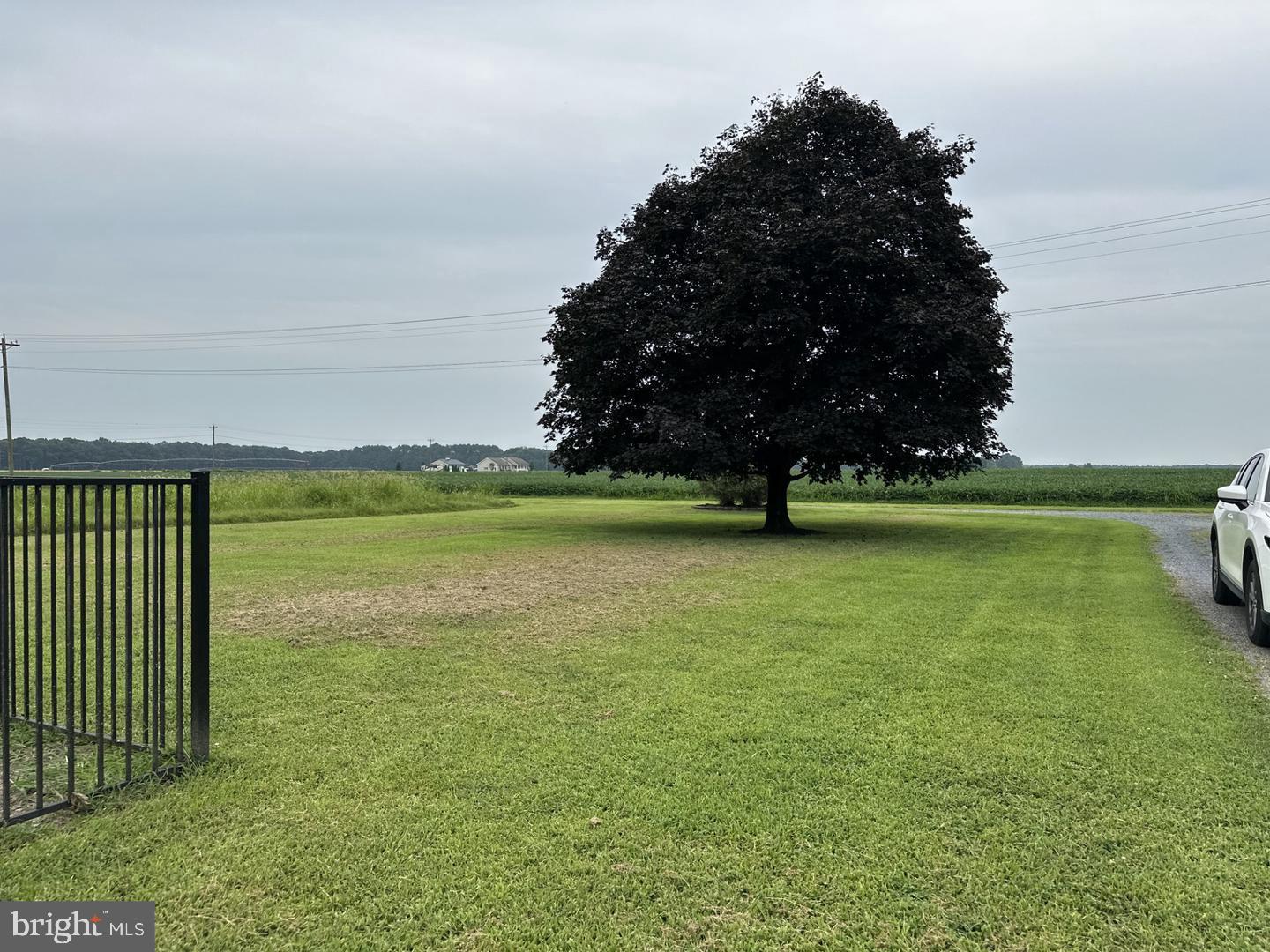 NONE AVAILABLE - Farm