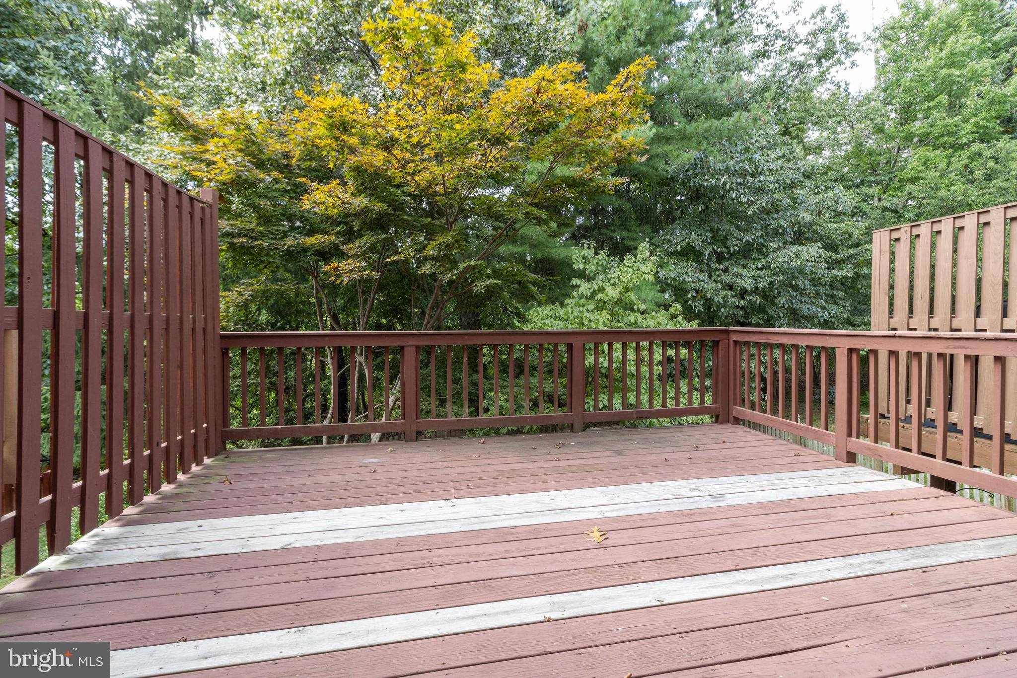 MAYS CHAPEL NORTH - Residential Lease