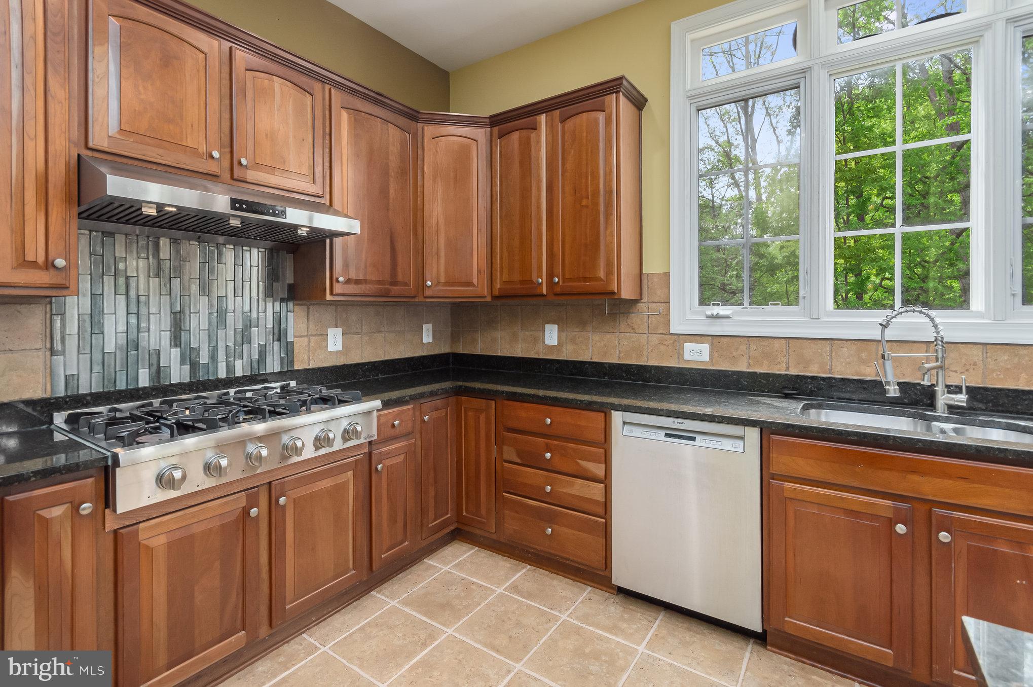 THE REGENTS AT LAKE MANASSAS - Residential