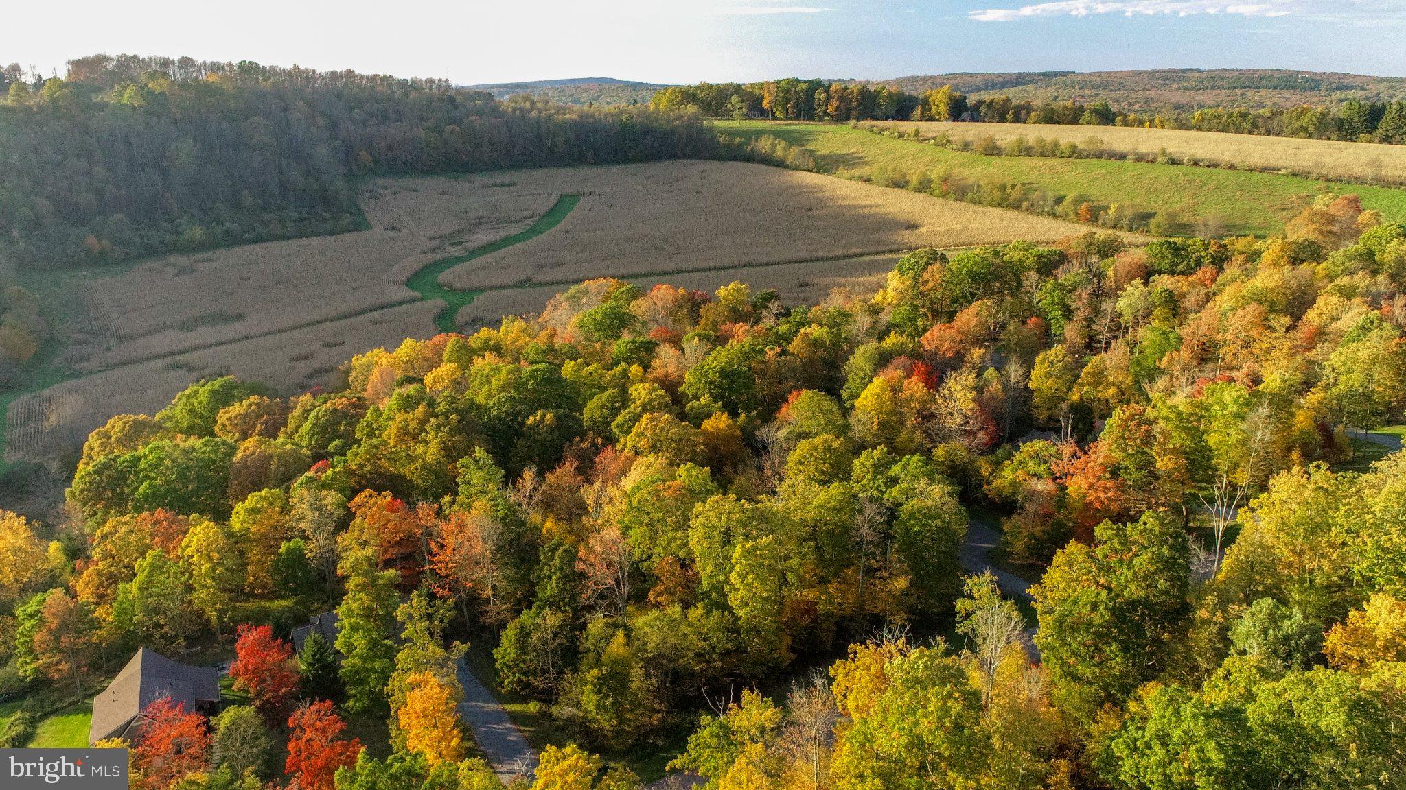 LOT 97 BIRDSONG WAY