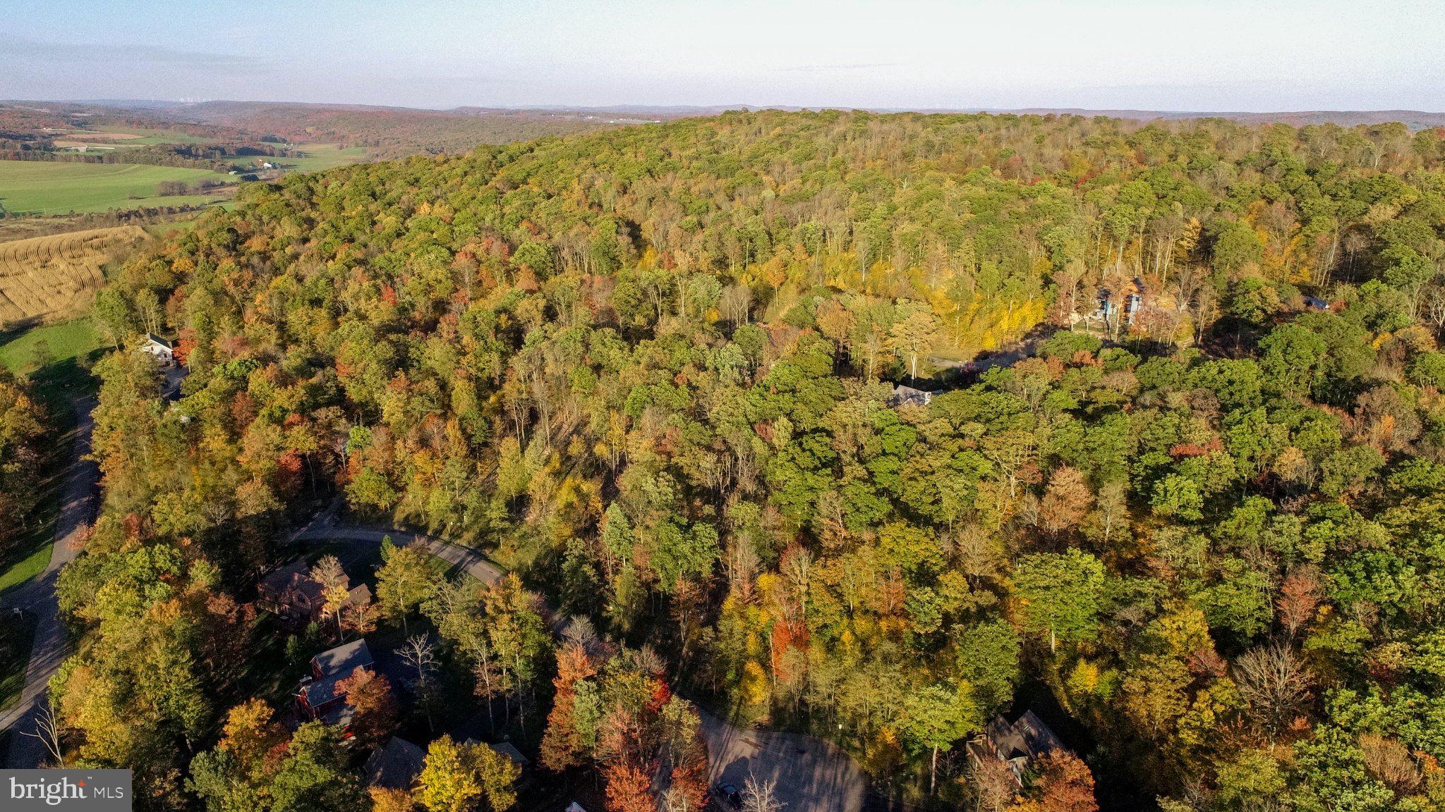 LOT 97 BIRDSONG WAY