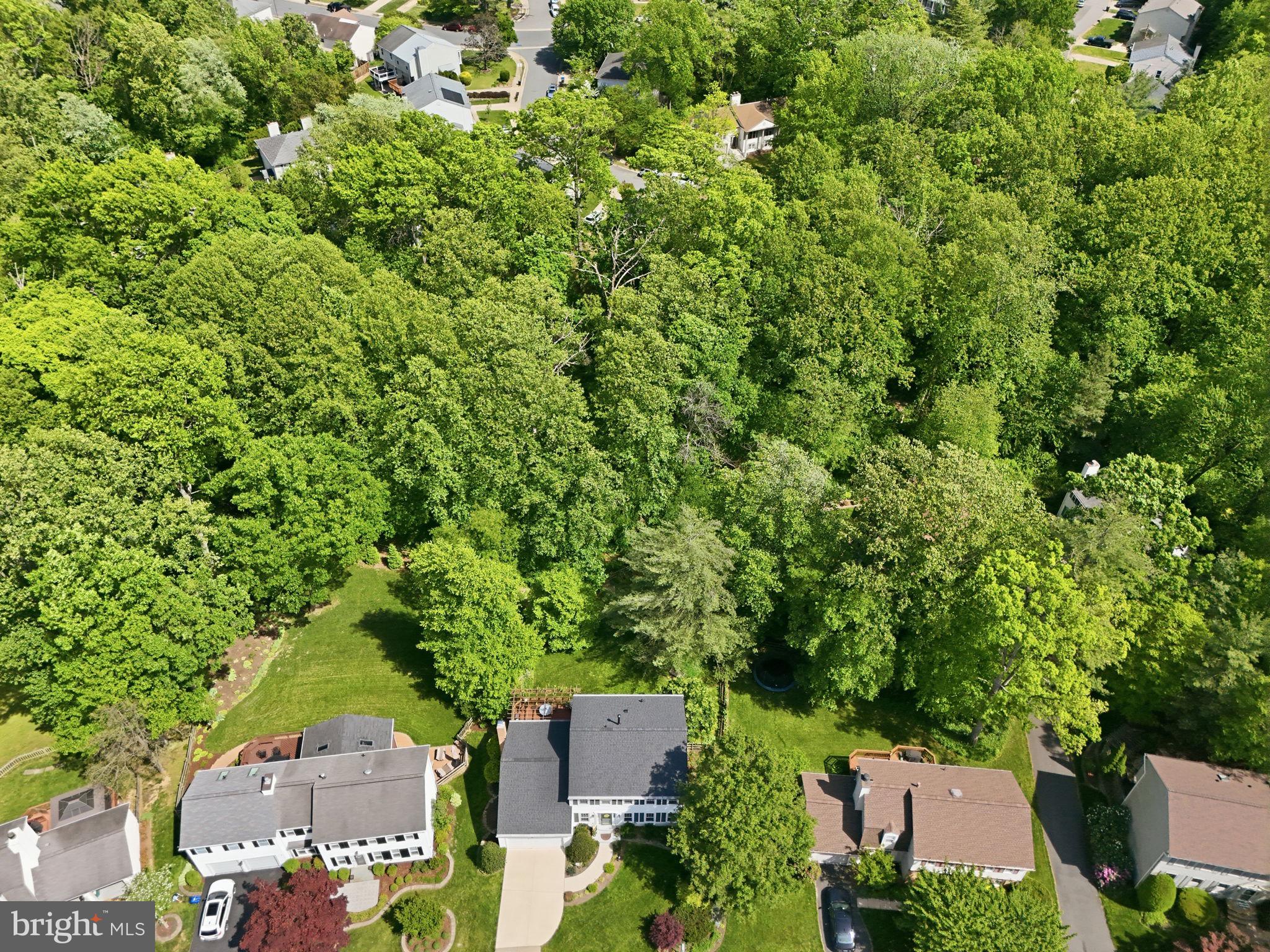 BURKE CENTRE CONSERVANCY - Residential