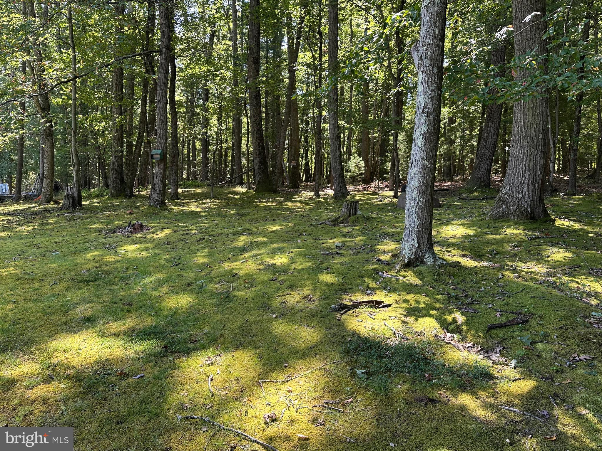 CALEDONIA - Residential