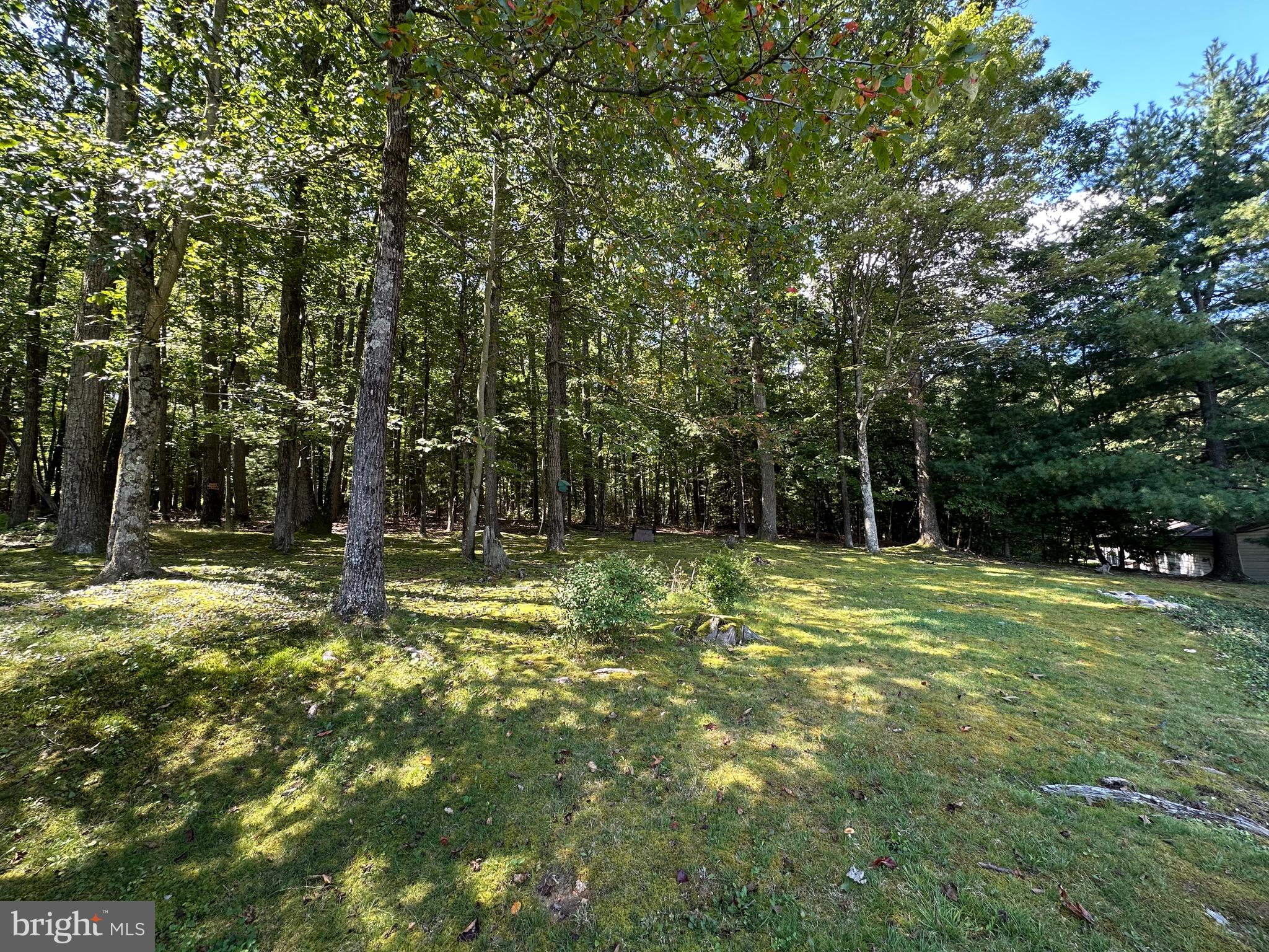 CALEDONIA - Residential