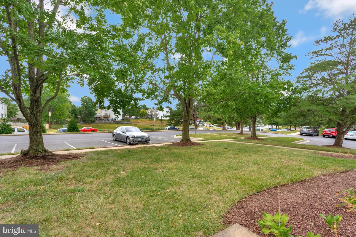 MOUNTAIN VIEW - Residential