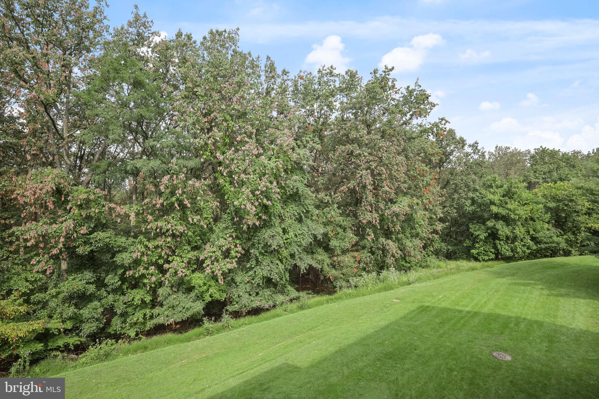 PARTRIDGE KNOLL - Residential