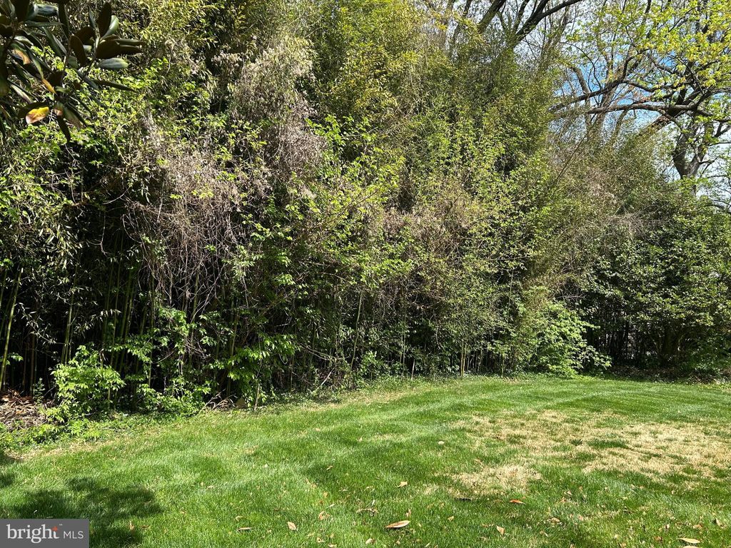 Photo of 6710 Moly Drive, FALLS CHURCH, VA 22046 (MLS # VAFX2313854)