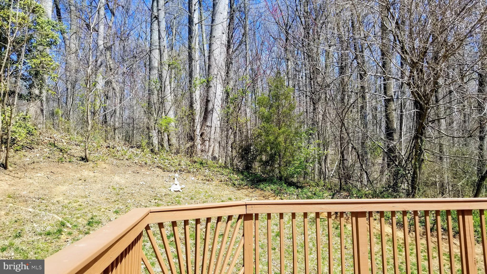 POWELLS LANDING - Residential Lease