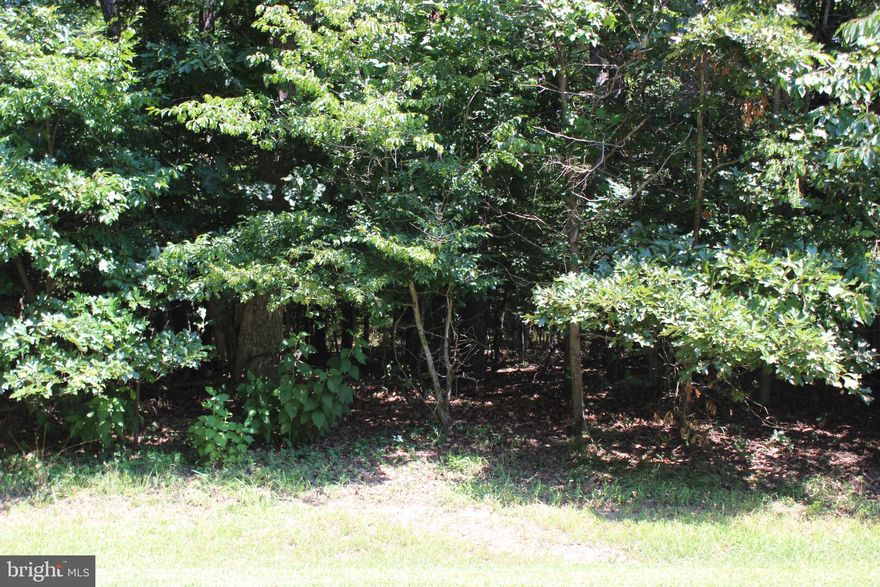 3/1851 Wooded lot w/3 BR Cert Letter & Survey on File, Lots has water availability. Just a few lots on the market at this reduced price, take advantage of this great deal while it last! No time frame to build, no builder tie-in. Just enjoy all the amenities and the lifestyle on the Eastern Shore of VA. Captains Cove is the Eastern Shore of Virginias fastest growing Golf & Waterfront community; close to Chincoteague Island, Wallops Island and Ocean City MD. Amenities: Pristine 9 Hole Golf Course, indoor/outdoor pools (2), fitness center, basketball, pickle-ball & tennis courts, boat ramp, docks, playground, Biking & Walking Trails, Dog Park, picnic area, playground, security and so much more.