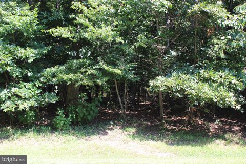 1851 MUNITY DRIVE GREENBACKVILLE VA 23356