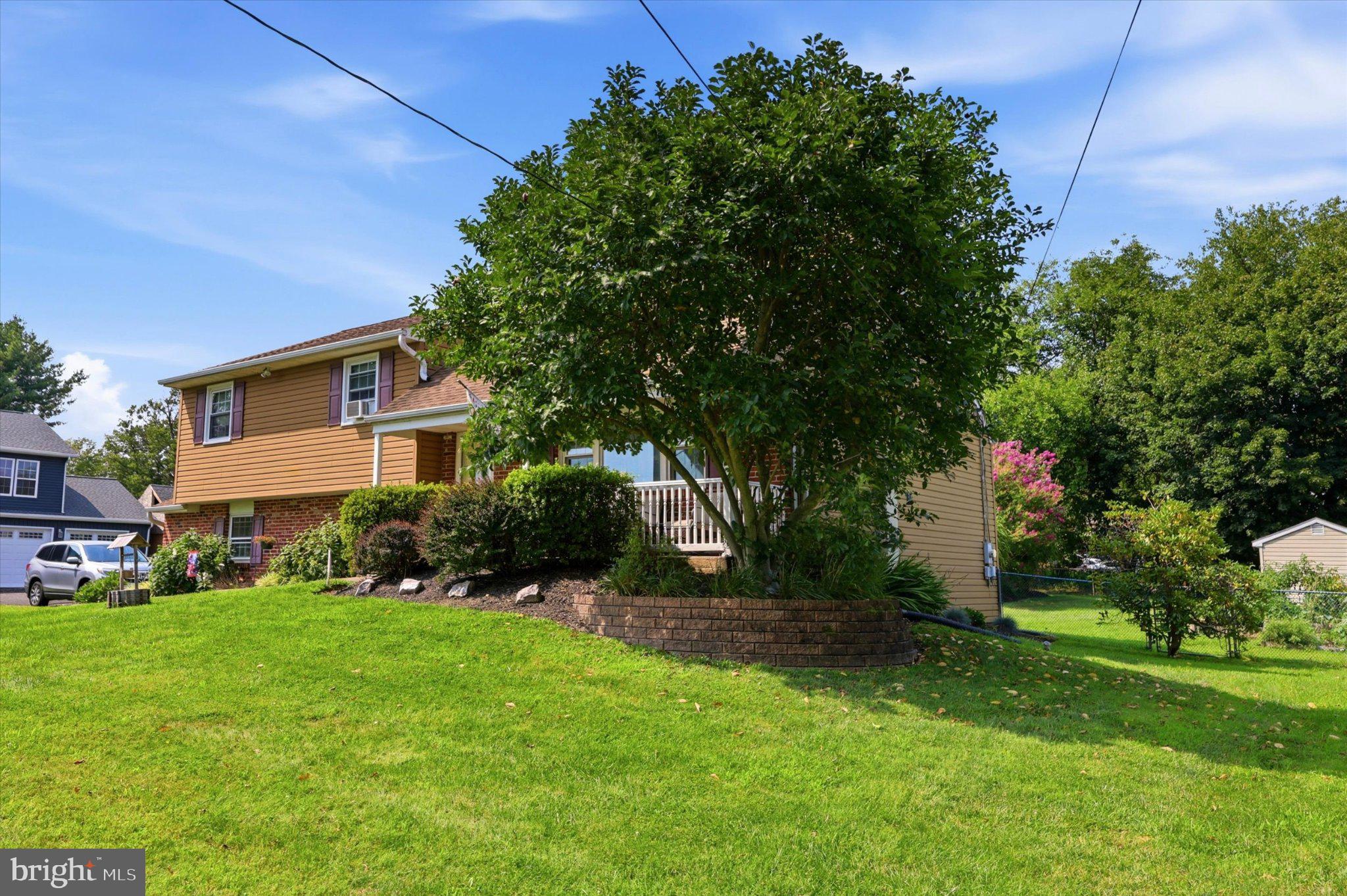 337 MIDDLE HOLLAND