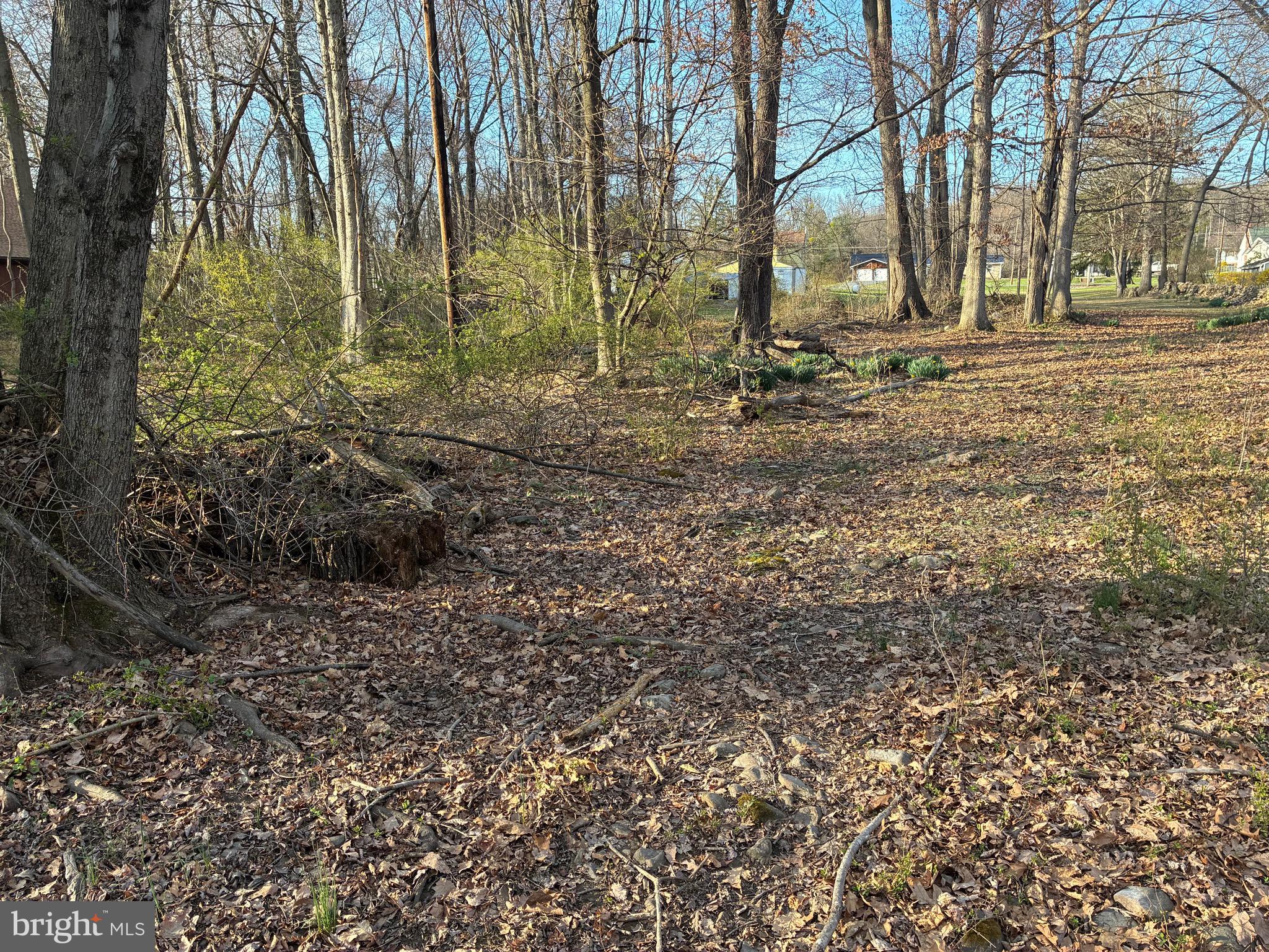 GREENE TWP - Residential