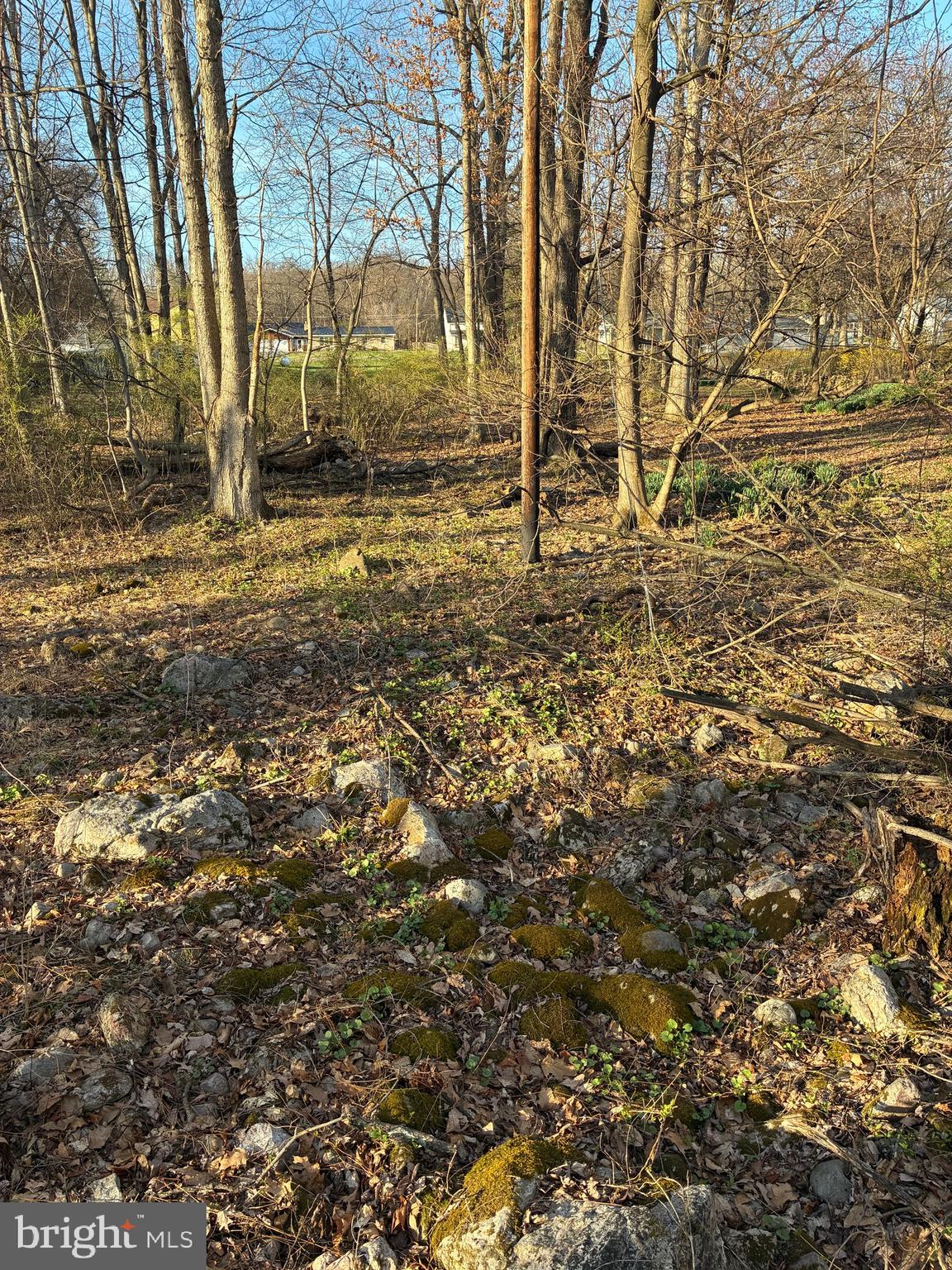 GREENE TWP - Residential