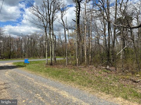 Vacant Land For Sale - LOT 102 Bow Wood Trail<br/> WINCHESTER, VA 22602