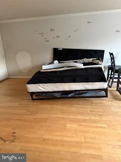 RANDLE HEIGHTS - Residential