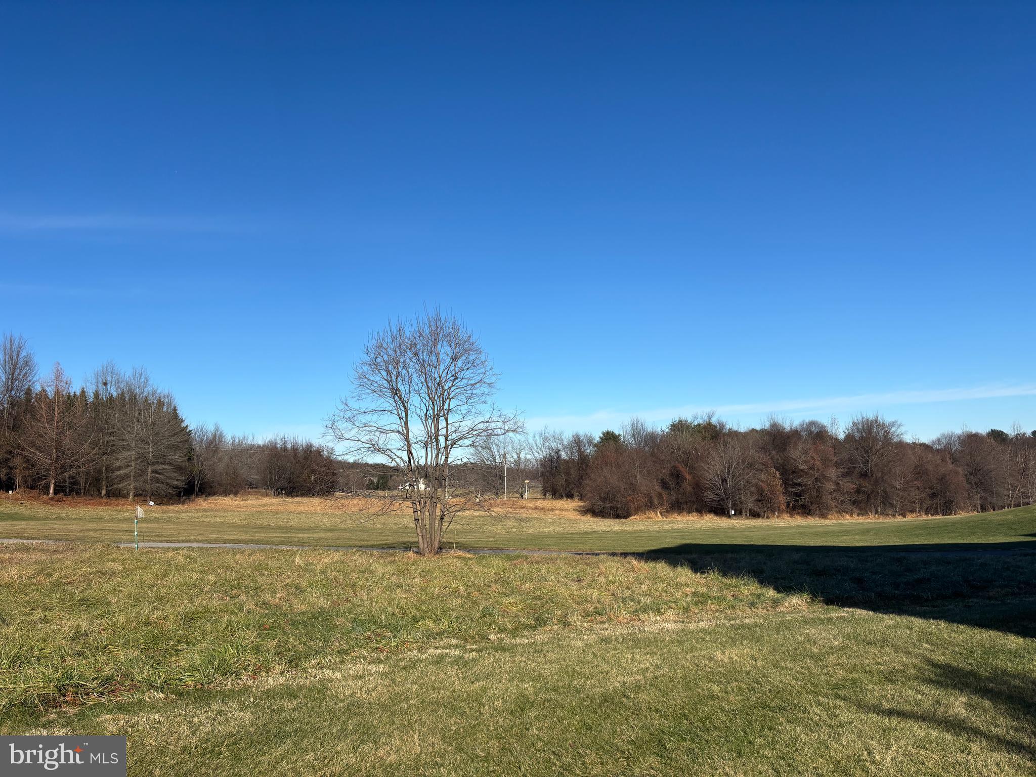 11130 CHAMBERS COURT B