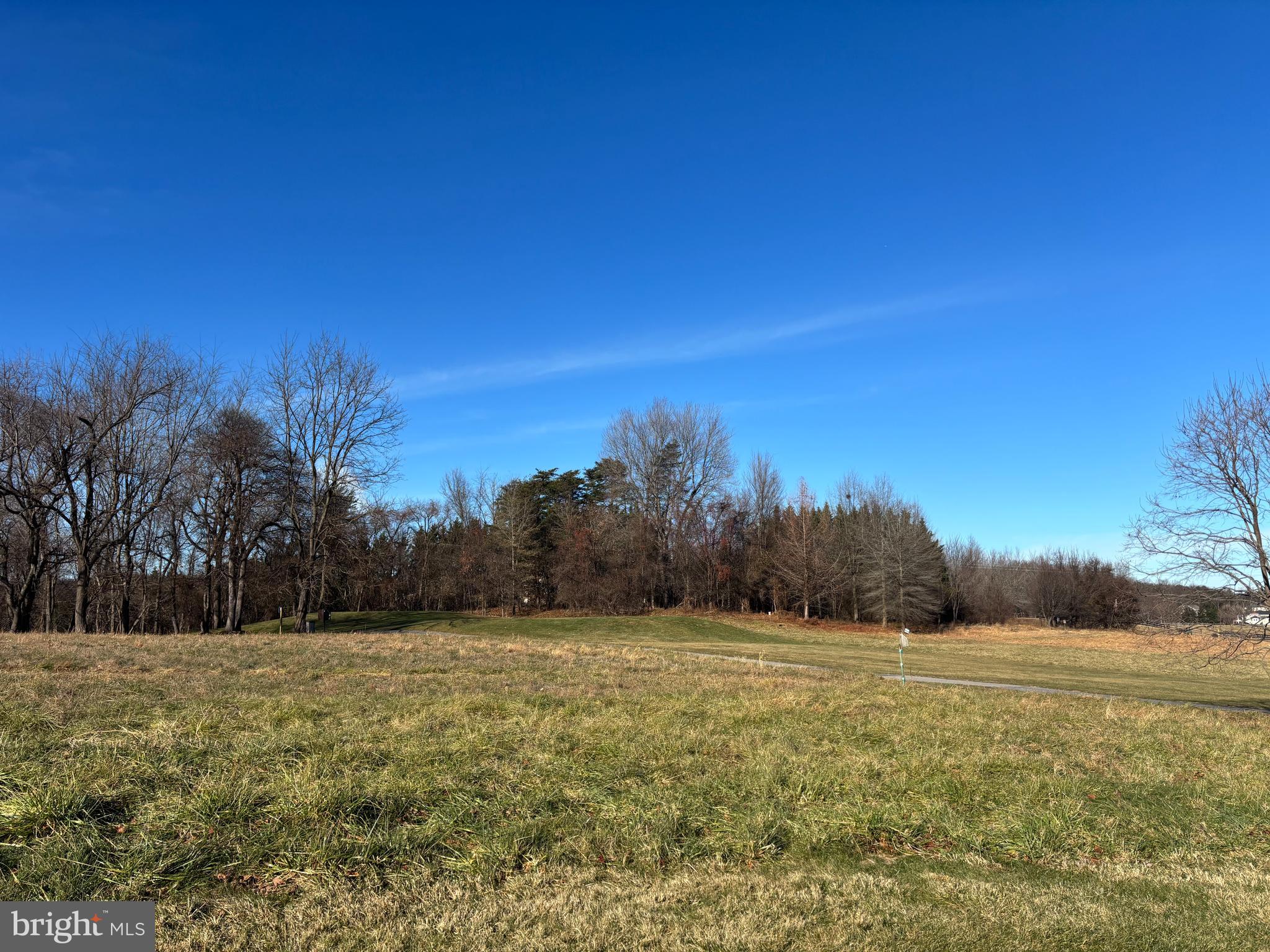 11130 CHAMBERS COURT B