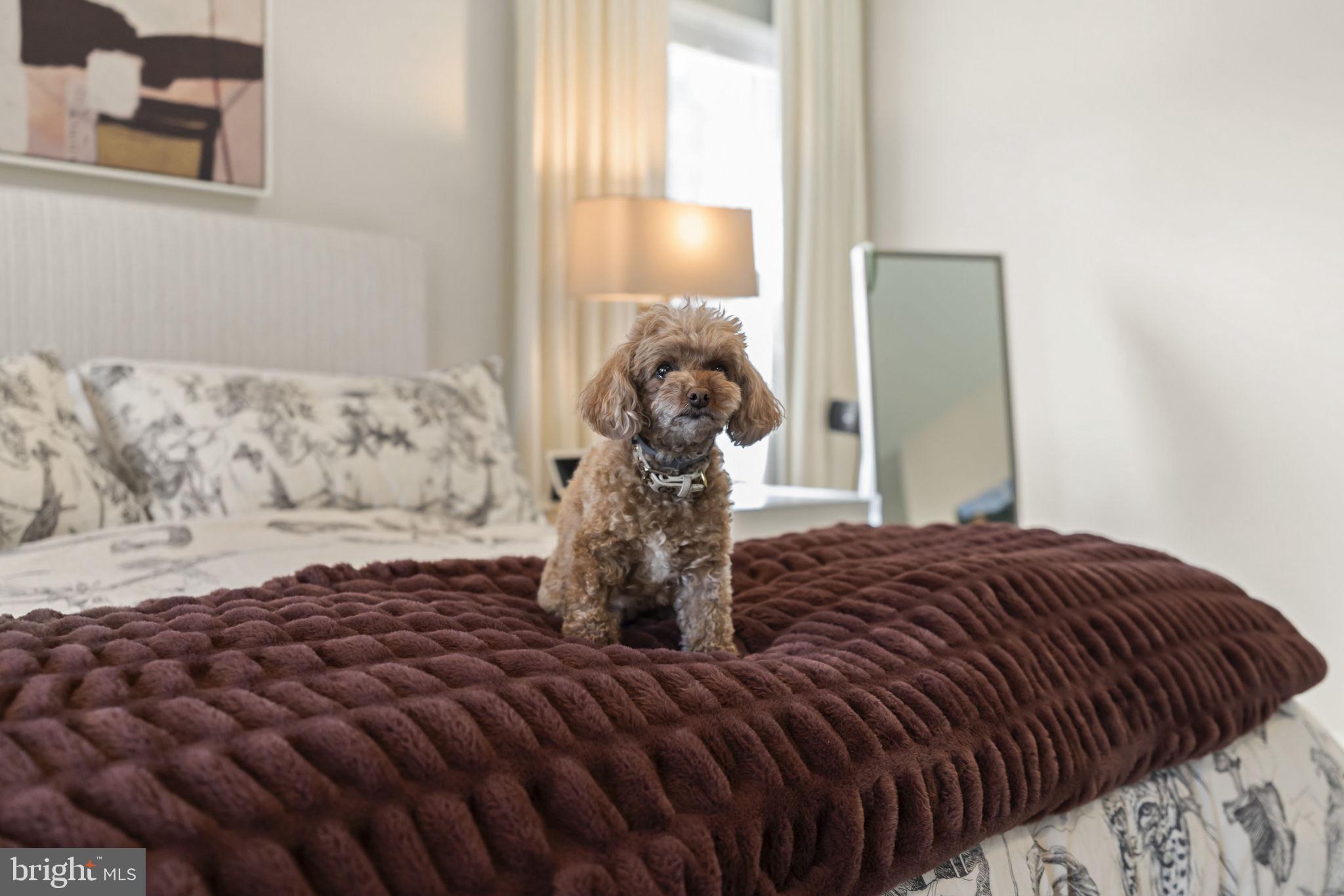 THE RIDINGS OF WHI - Residential