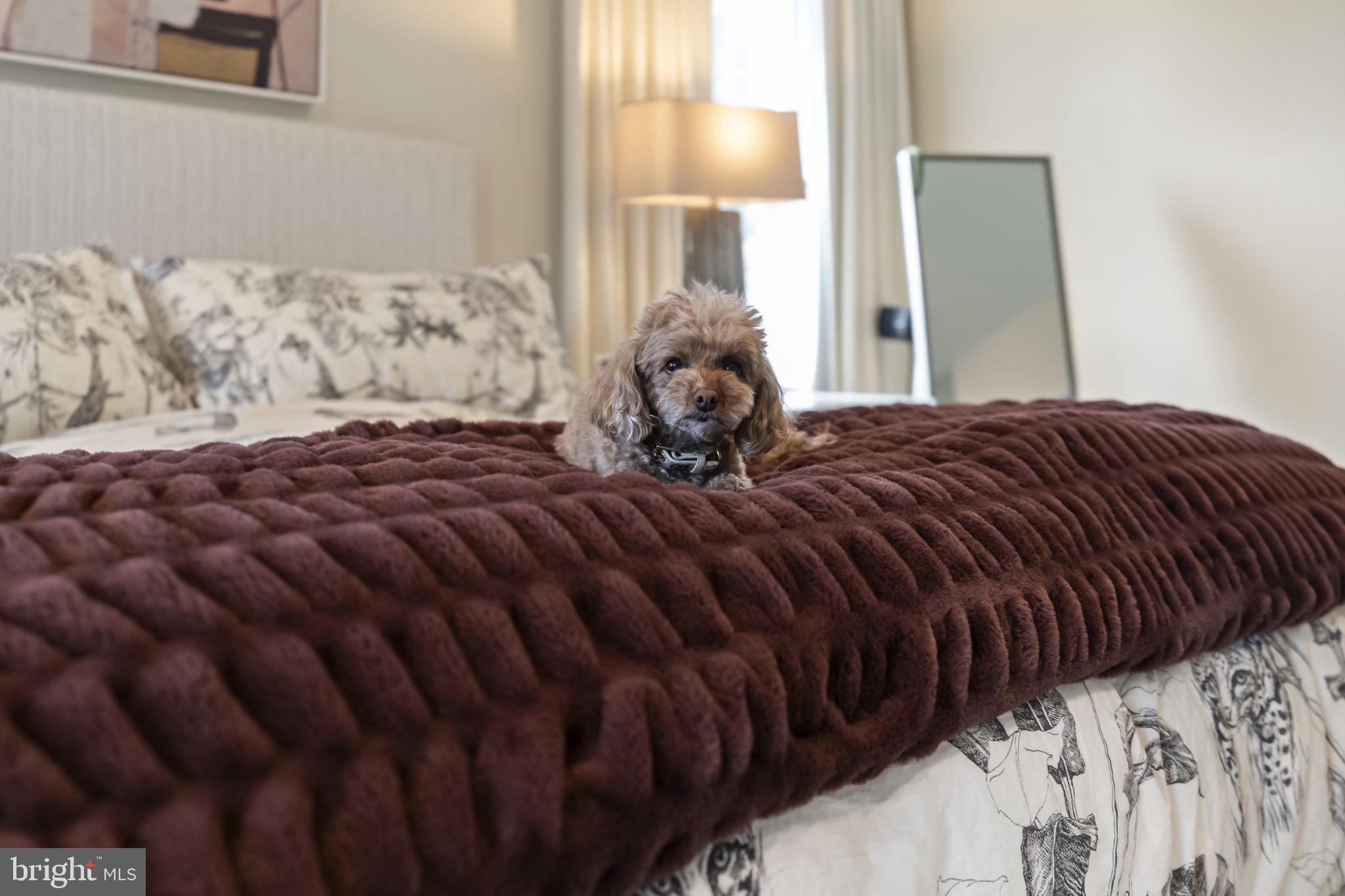 THE RIDINGS OF WHI - Residential